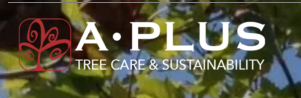 A Plus Tree logo