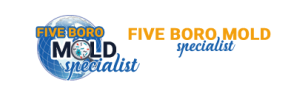 Five Boro Mold Specialist logo