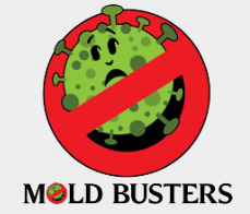 Mold Busters USA logo